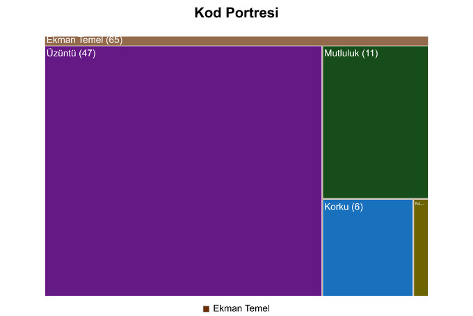 Code Portrait Visualization