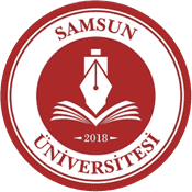 Samsun